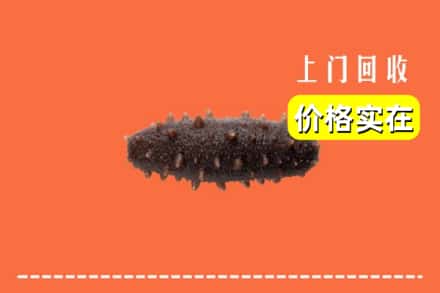收购资讯:明山区回收海参